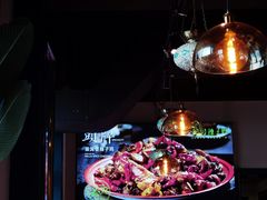 -柴窝堡22号辣子鸡·传承新疆菜