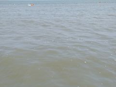 -巨鹏飞梦幻海岸