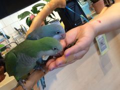-藦茜花园宠物主题亲子互动体验馆(国顺东路店)