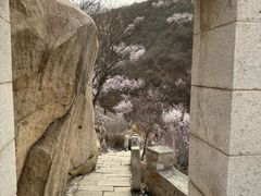 -北京凤凰岭