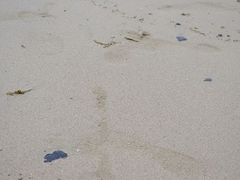 -西涌国际滨海旅游区