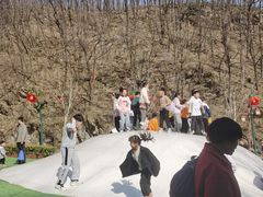 -栾川竹海野生动物园