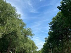 -永定河休闲森林公园