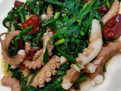 八爪鱼炒韭菜-双井轩(双井店)