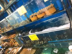 -蚝专家(北滘店)
