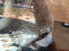 -武汉紫薇都市田园