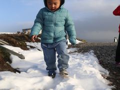 -大冬树山垭口