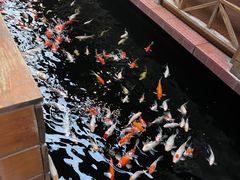 -侠成水上农庄(工业大道店)