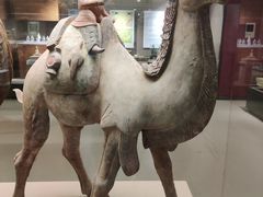 -西安大唐西市博物馆