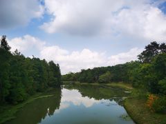 -上海海湾国家森林公园