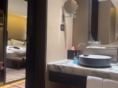 -新加坡瑞士史丹福酒店