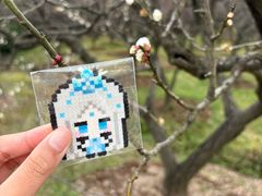 -香雪海