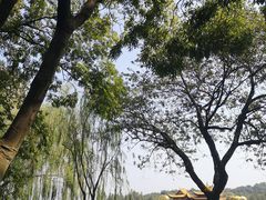 -苏堤停车场