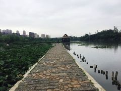 -前关湿地公园