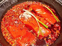 -巴蜀大将火锅(春熙店)
