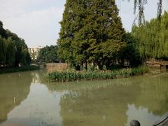 -温江公园