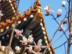-东华门大街小区