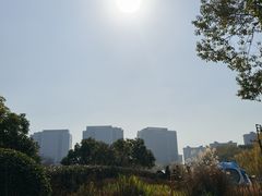 -杭州城北体育公园