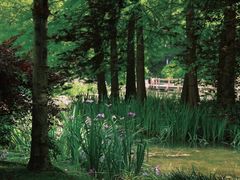 -西湖风景区-江洋畈生态公园