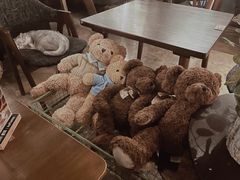 -咖法森林·咖啡  酒吧(天河店)