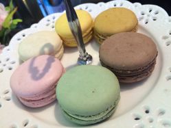 -TADASHI SHOJI(中国旗舰店)