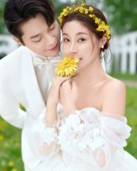 -金夫人婚纱摄影全球旅拍(大连店)