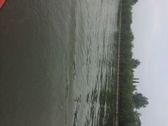 iphone_upload_pic-溱湖国家湿地公园