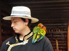 -云南民族村