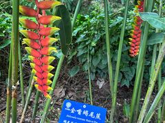 -中国科学院西双版纳热带植物园