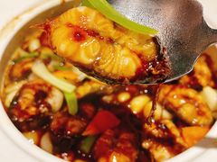 砂锅酱焗海鳝-钟菜·粤菜点心·宴请(海上世界·汇港二期店)