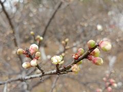 -水濂山水库景点停车场