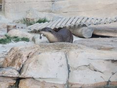 -上海野生动物园