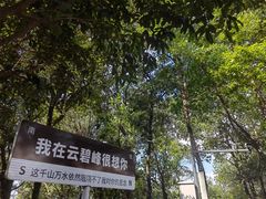 -云碧峰国家森林公园