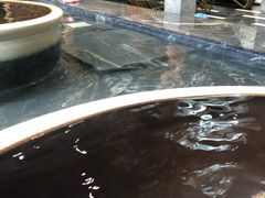 -弘安丽水温泉酒店