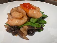 -觅唐MITONG(鸟巢店)