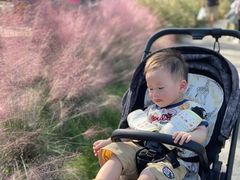 -前小桔亲子创意农场·草莓采摘·露营烧烤