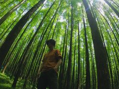 -山王坪喀斯特国家生态公园