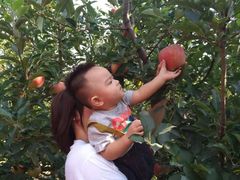 -万源龙顺度假庄园生态观光园