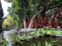 -白帝城·瞿塘峡景区