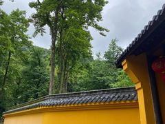 -五泄景区