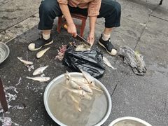 -巴哈面店(沈家门西大街店)