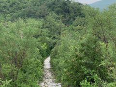 -静之湖湖畔餐厅