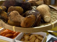 -菌极鲜野生菌火锅店(阳明祠店)