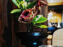 -灶咖KITCHEN