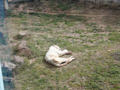 -无锡动物园·太湖欢乐园