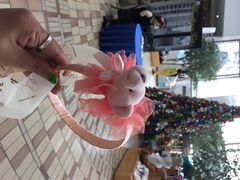 泰迪熊博物馆-济州岛泰迪熊博物馆