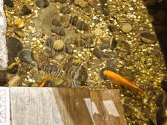 -邈墨茶馆(凤起路店)