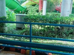 -上海玛雅海滩水公园