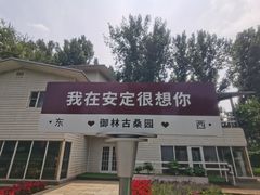 -御林古桑园