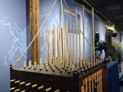 -国家自然博物馆